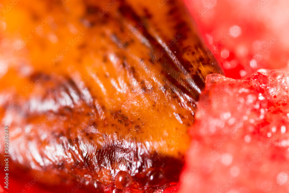 watermelon seeds. Super Macro watermelon seeds. Super Macro