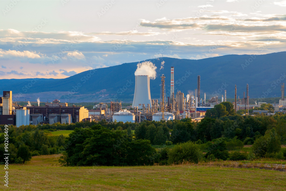 Petrochemical industrial plant, Czech Republic
