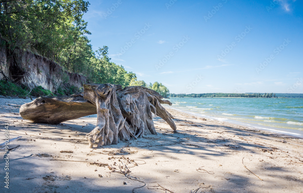 Старая деревянная коряга на берегу безлюдного тропического острова