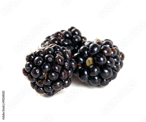 blackberrries isolated on white