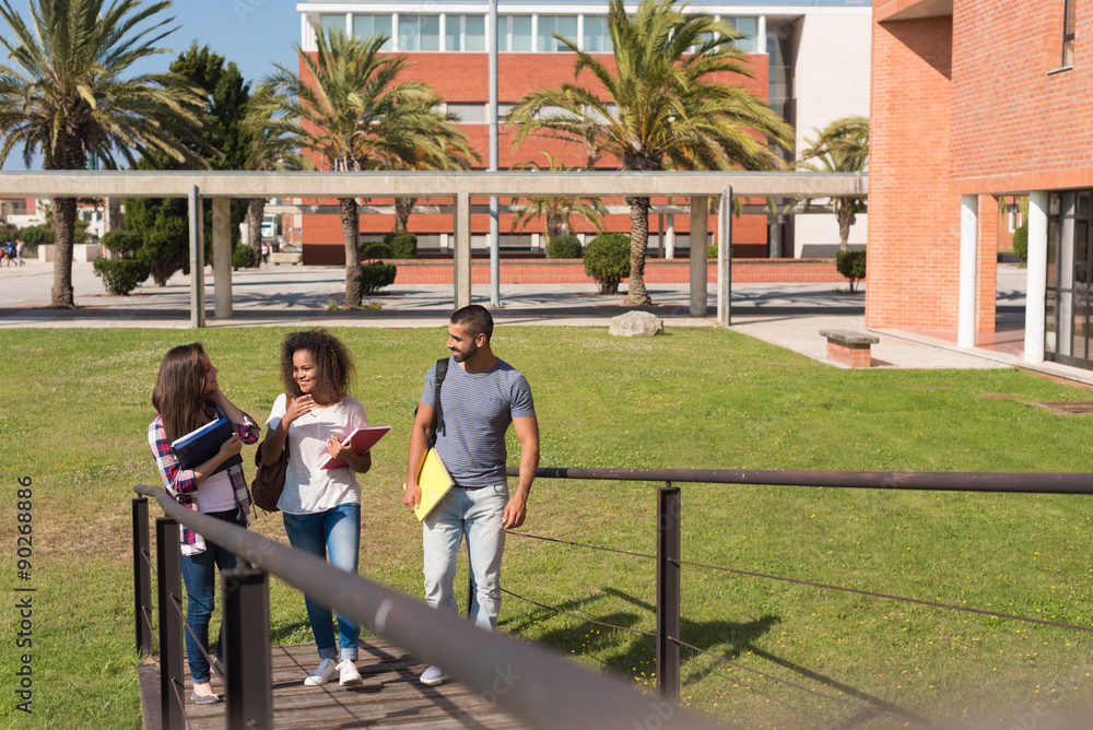 Fototapeta premium Group of students in Campus