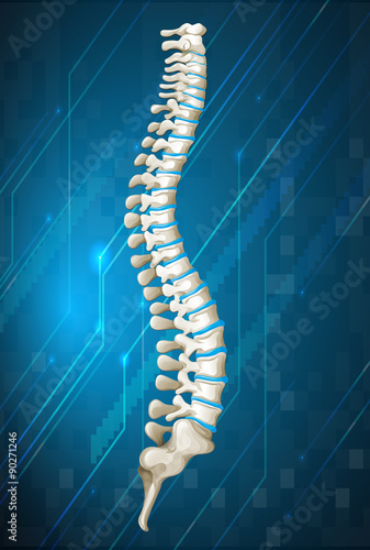 Human spine diagram on blue
