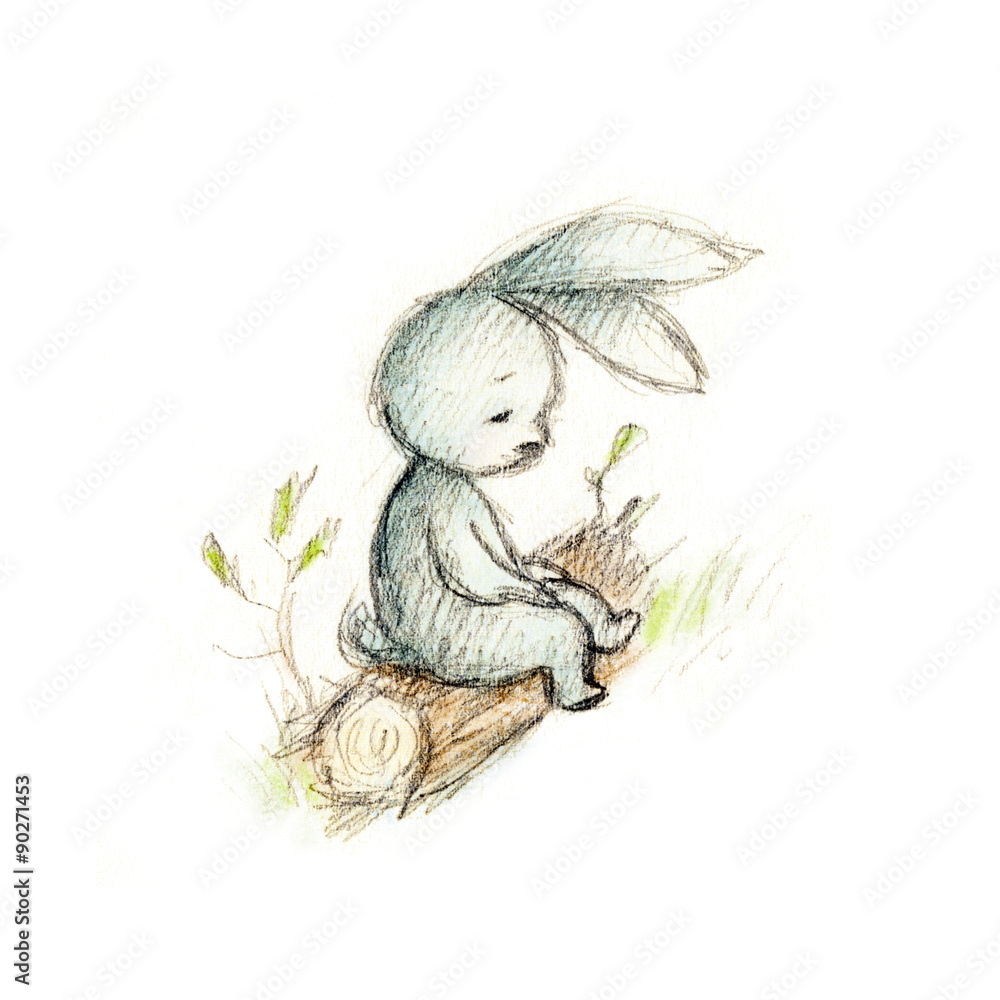 Fototapeta premium bunny on the lod