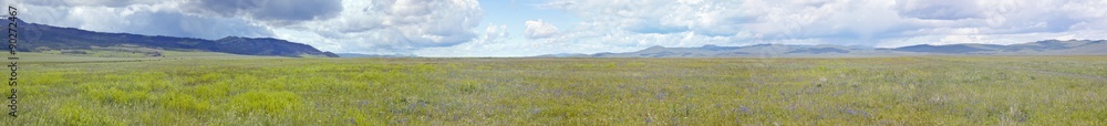 Fototapeta premium Panoramic view of spring grasslands and mountains in Centennial Valley near Lakeview, MT
