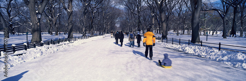 Panoramic view of walker pulling sled with child on fresh snow in Central Park, Manhattan, New York City, NY in winter