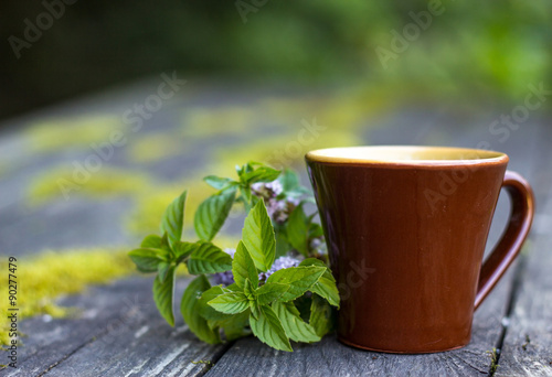 cup of mint tea in nature.