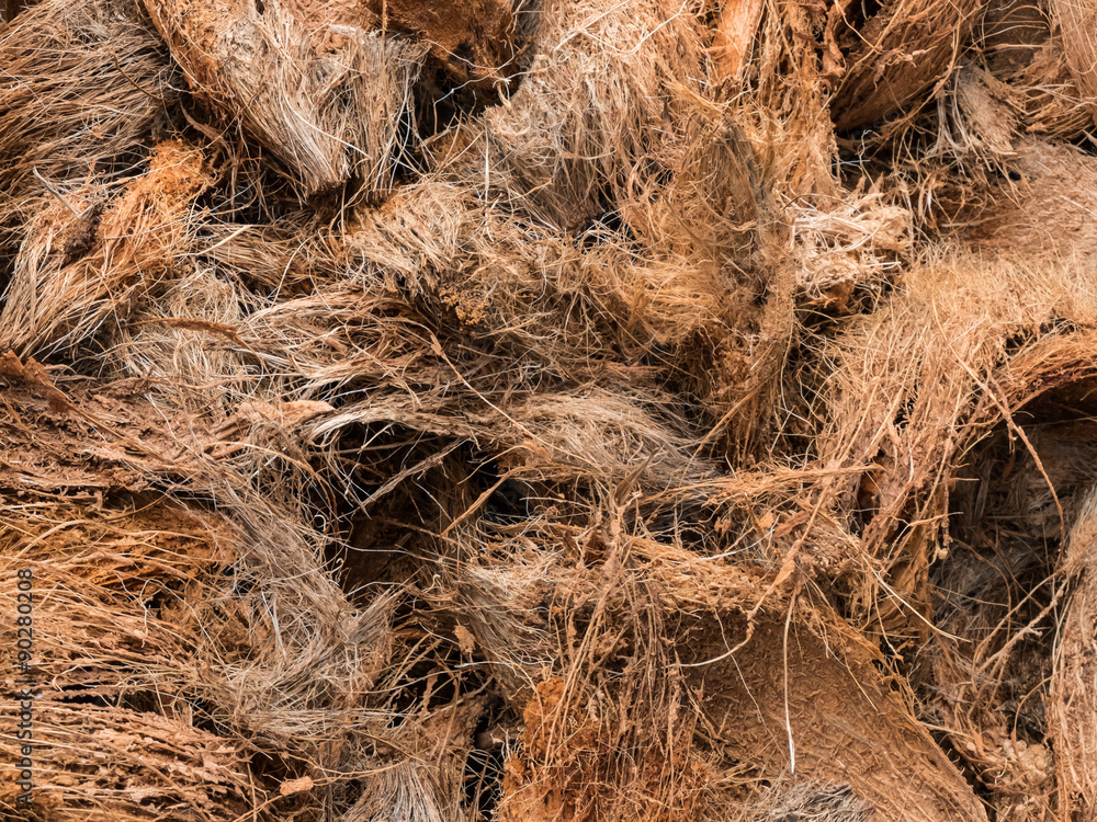 Dark Dry coconuts texture background Dark Dry coconuts texture background