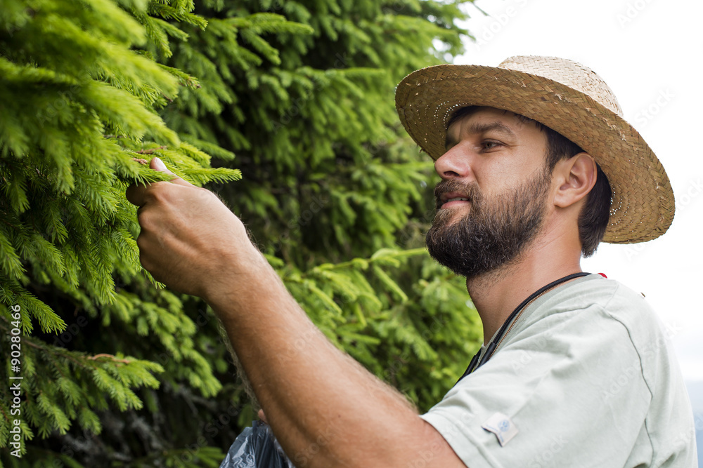 Closeup portrait of young man picking fir buds