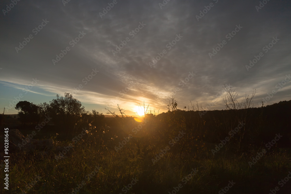 Fototapeta premium Dawn in village.