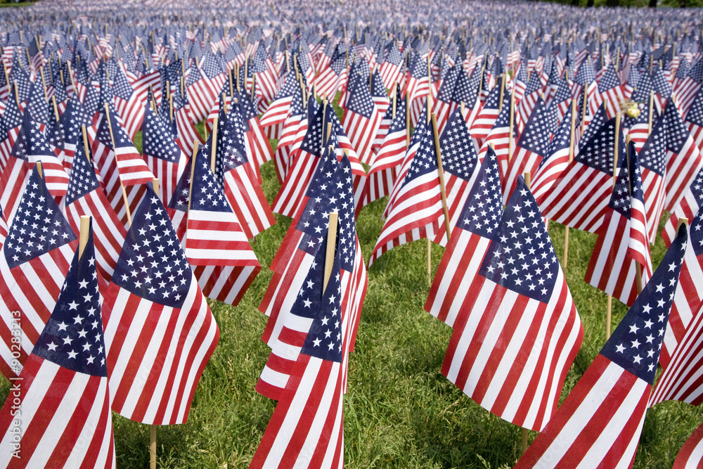 20,000 American Flags are displayed for every resident of Massachusetts who died in a war over the past 100 years, Boston Common, Boston, MA, Memorial Day, 2011