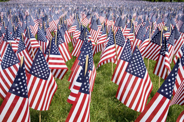 20,000 American Flags are displayed for every resident of Massachusetts who died in a war over the past 100 years, Boston Common, Boston, MA, Memorial Day, 2011