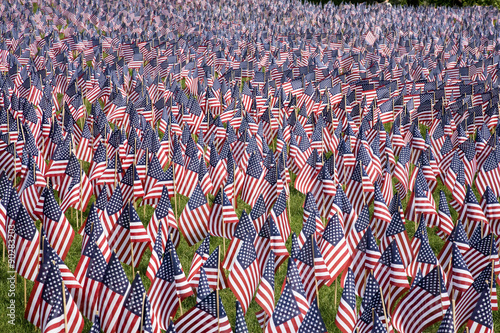 20,000 American Flags are displayed for every resident of Massachusetts who died in a war over the past 100 years, Boston Common, Boston, MA, Memorial Day, 2011 photo