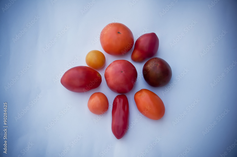 Collection of rare tomatoes isolated on white