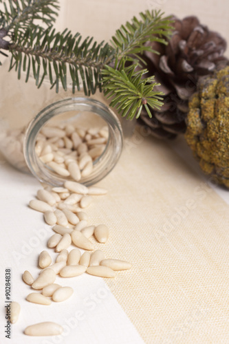seed pine nut