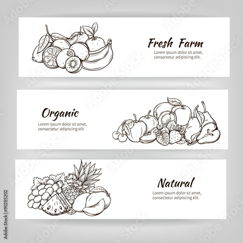 hand draw fruits banner