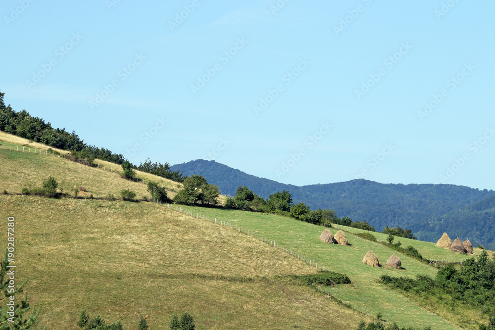 Fototapeta premium mountain rural landscape west Serbia