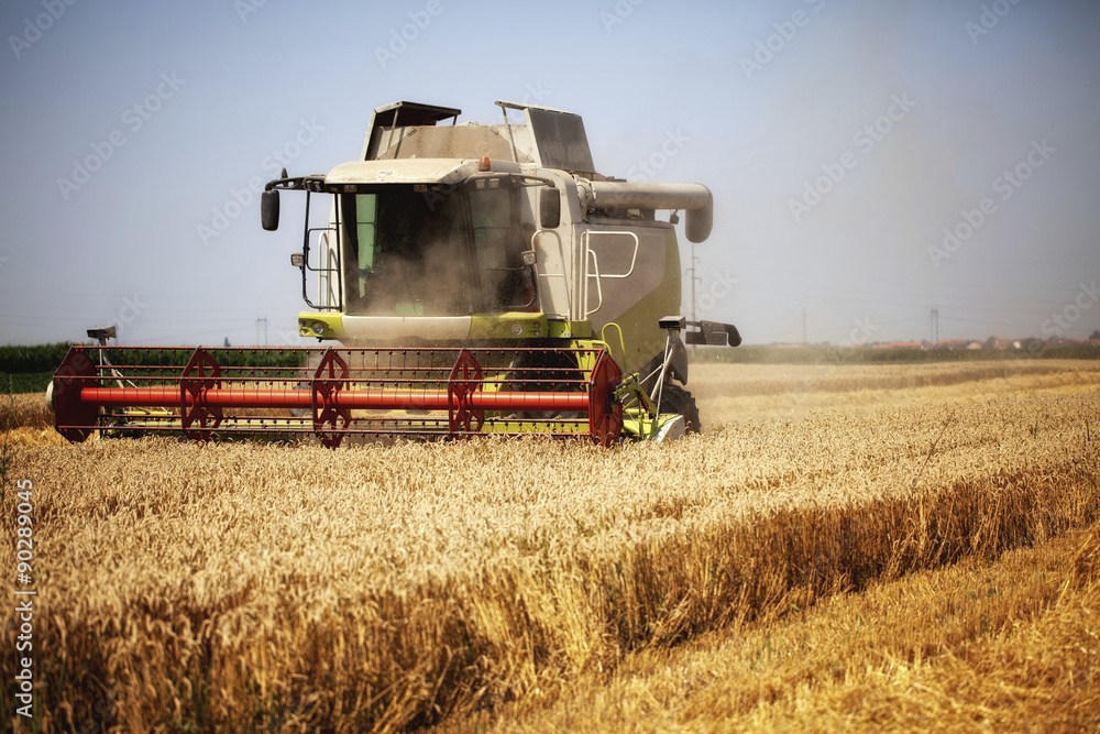 Combine harvester working in the field Combine harvester working in the field