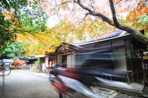 Autumn in Arashiyama,Kyoto,Japan photo