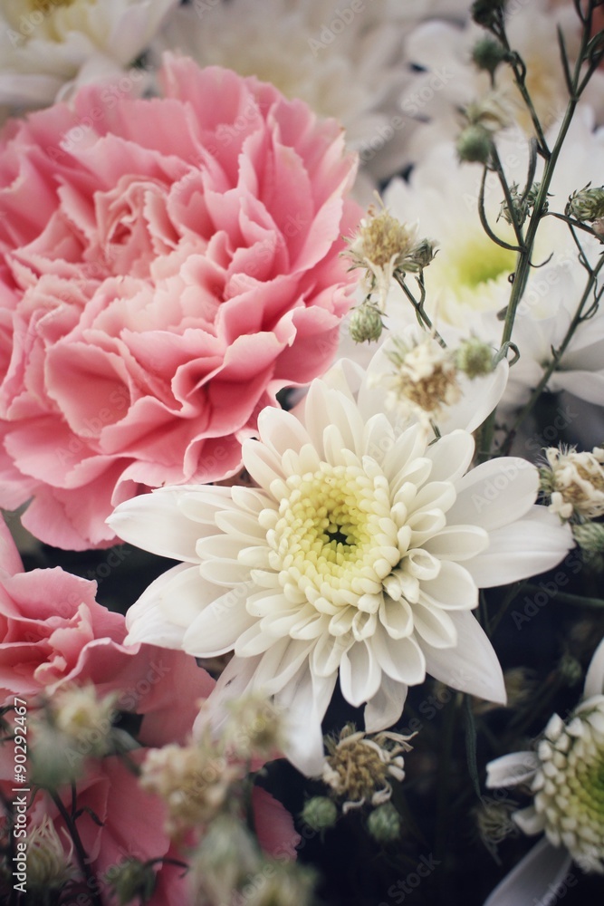 Carnations flower