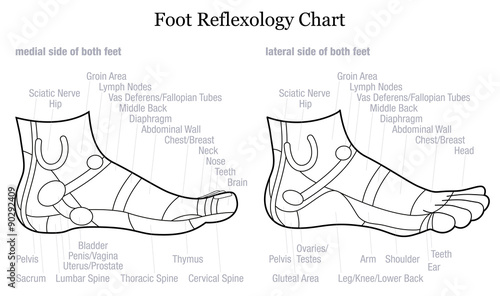 Foot reflexology chart - medial-inside and lateral-outside view of the feet - with description of corresponding internal organs and body parts. Outline vector illustration on white background.