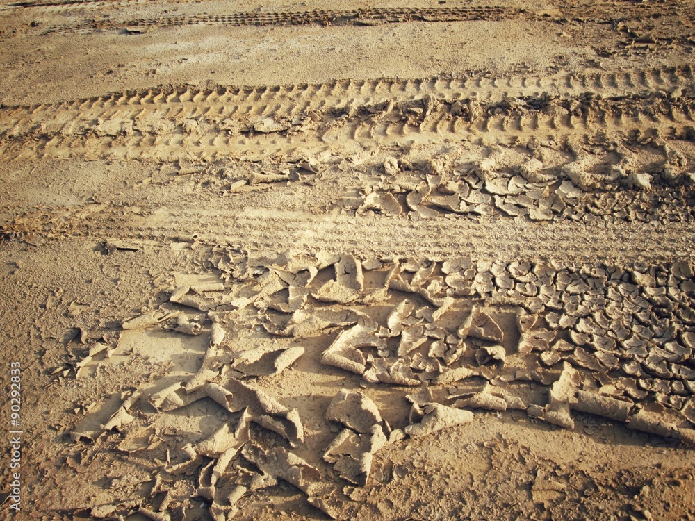 Cracked dry soil Cracked dry soil