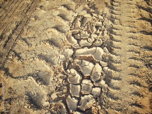 Cracked dry soil