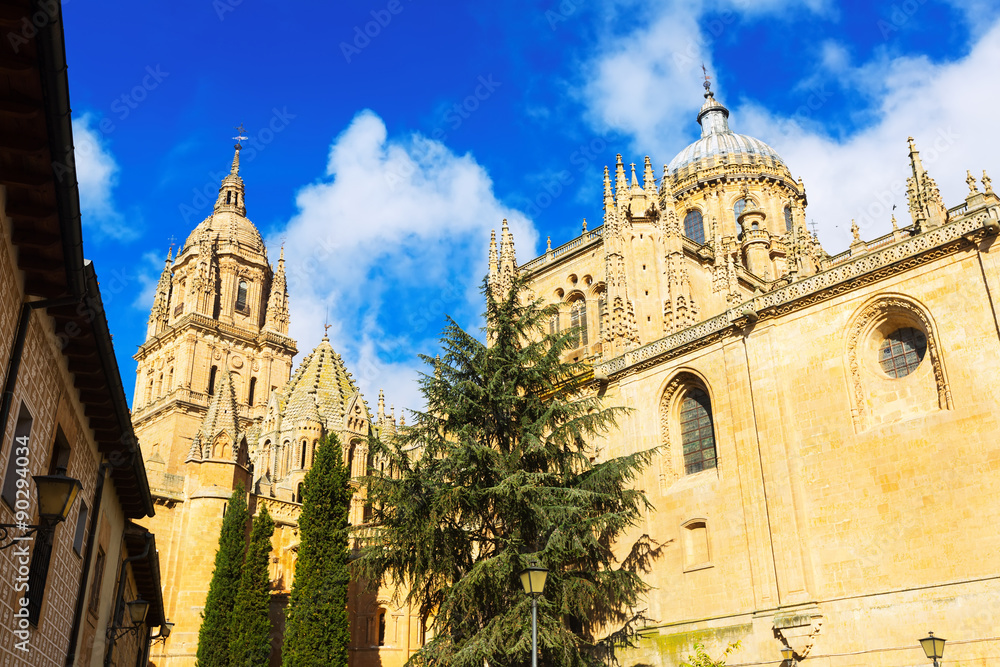  Cathedral of Salamanca in sunny  day