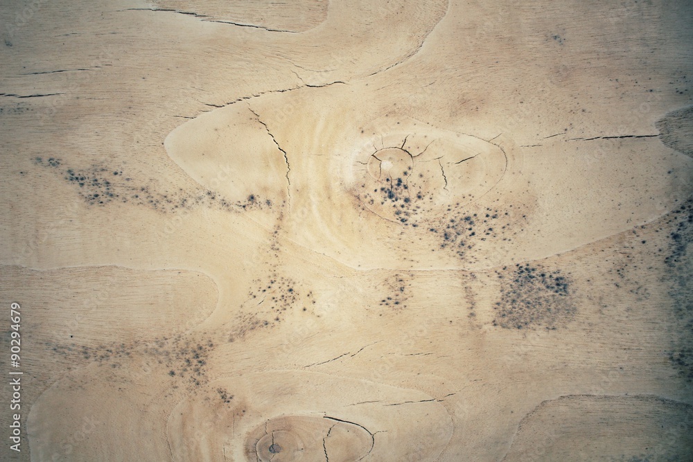 Obraz premium Old wood background