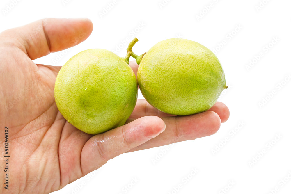 close up of fresh limes on hand close up of fresh limes on hand