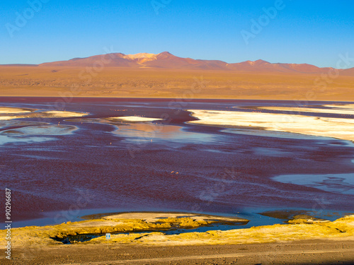 Laguna Colorada in Cordillera de Lipez © pyty