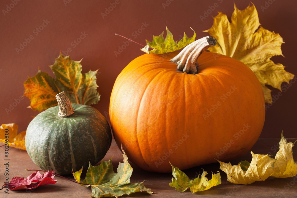 decorative pumpkins and autumn leaves for halloween decorative pumpkins and autumn leaves for halloween