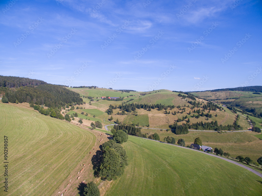 Fototapeta premium Schauinsland im Südschwarzwald