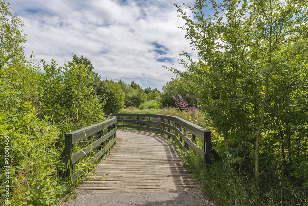 A path through London Wetlands Center - WWT nature reserve