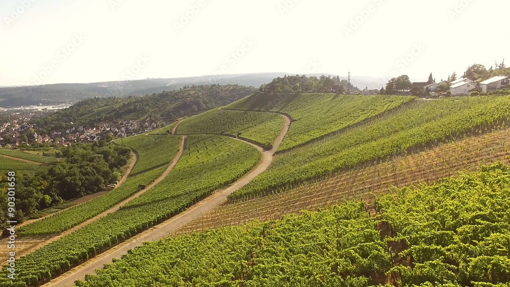 Aerial view of vineyards in Stuttgart, Germany. Aerial view of vineyards in Stuttgart, Germany.