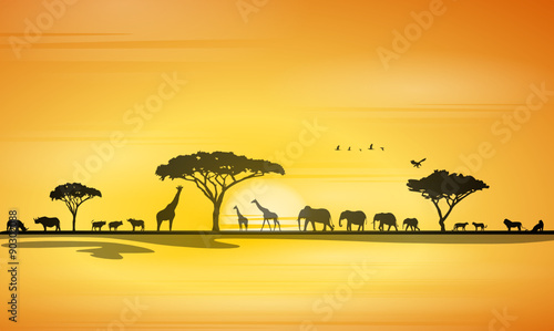 Silhouette Savanne Safari Afrika photo
