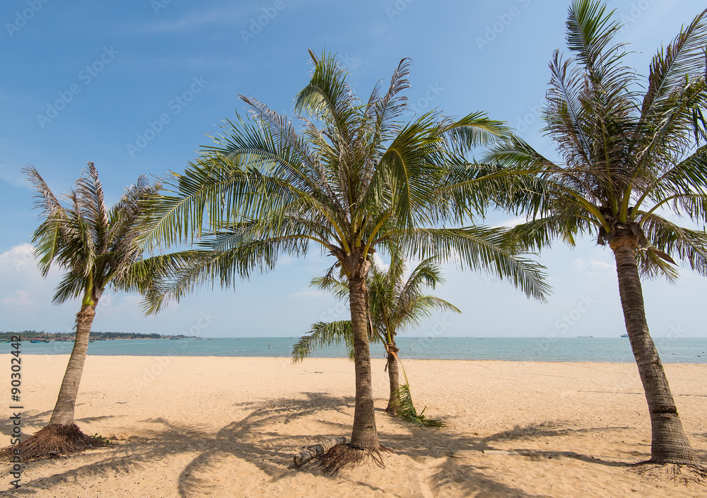 Palm tree silhouette on paradise sunset on the beach Palm tree silhouette on paradise sunset on the beach