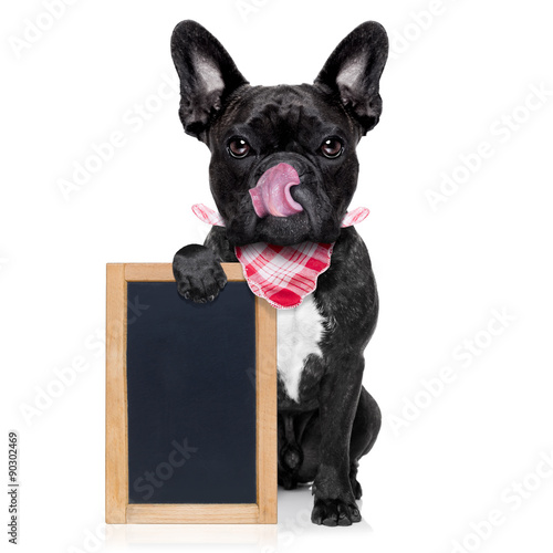hungry dog  with blackboard © Javier brosch