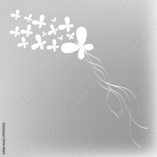 Nice butterflies