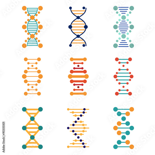 DNA, genetics vector icons  photo