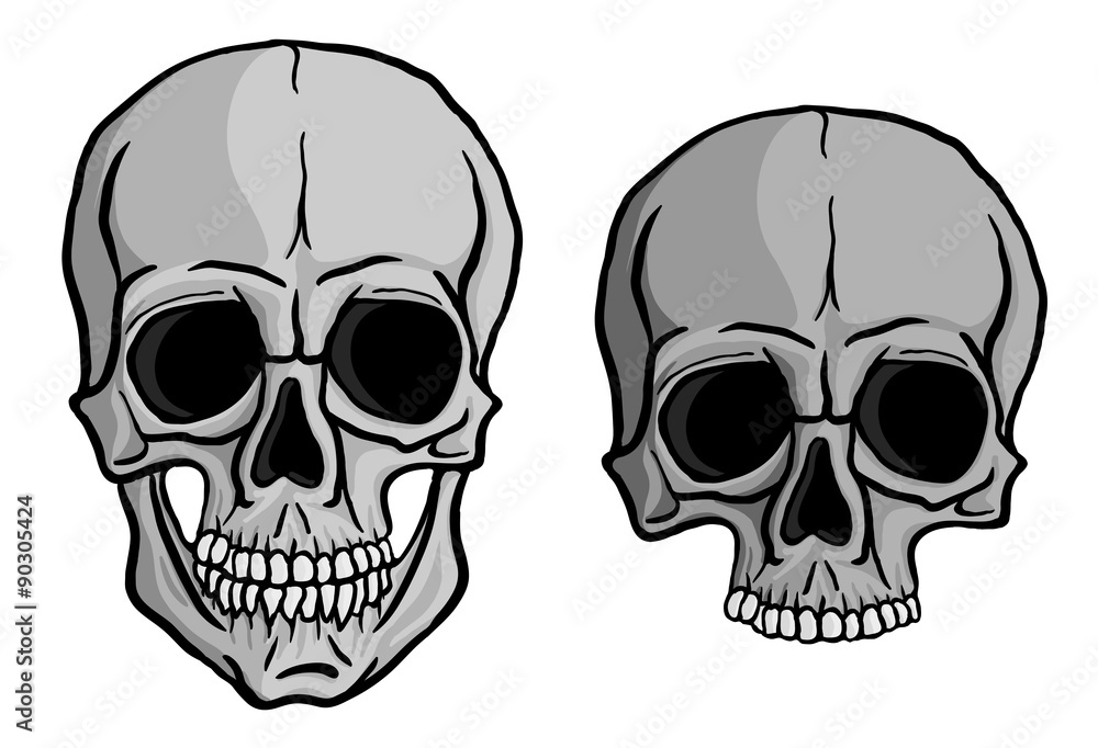 Human Skulls vector set Human Skulls vector set