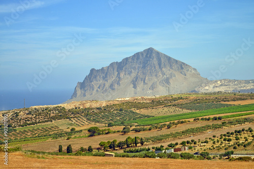 campi coltivati in Sicilia photo