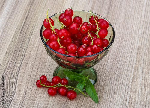 Red currant