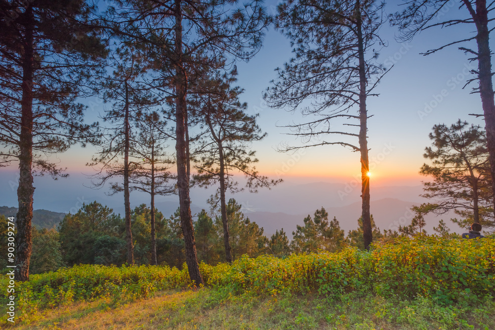 Obraz premium Sunset