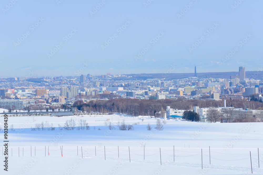 The City of Sapporo, view from Hitsujigaoka Observaition Hill in Sapporo, Hokkaido, Japan