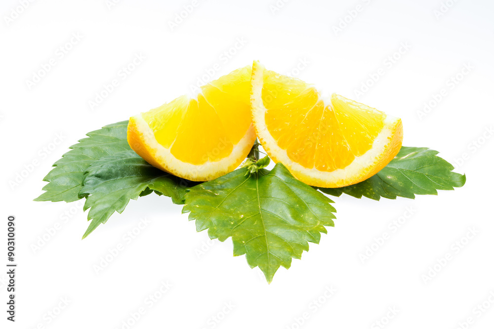 orange fruit slice isolated orange fruit slice isolated