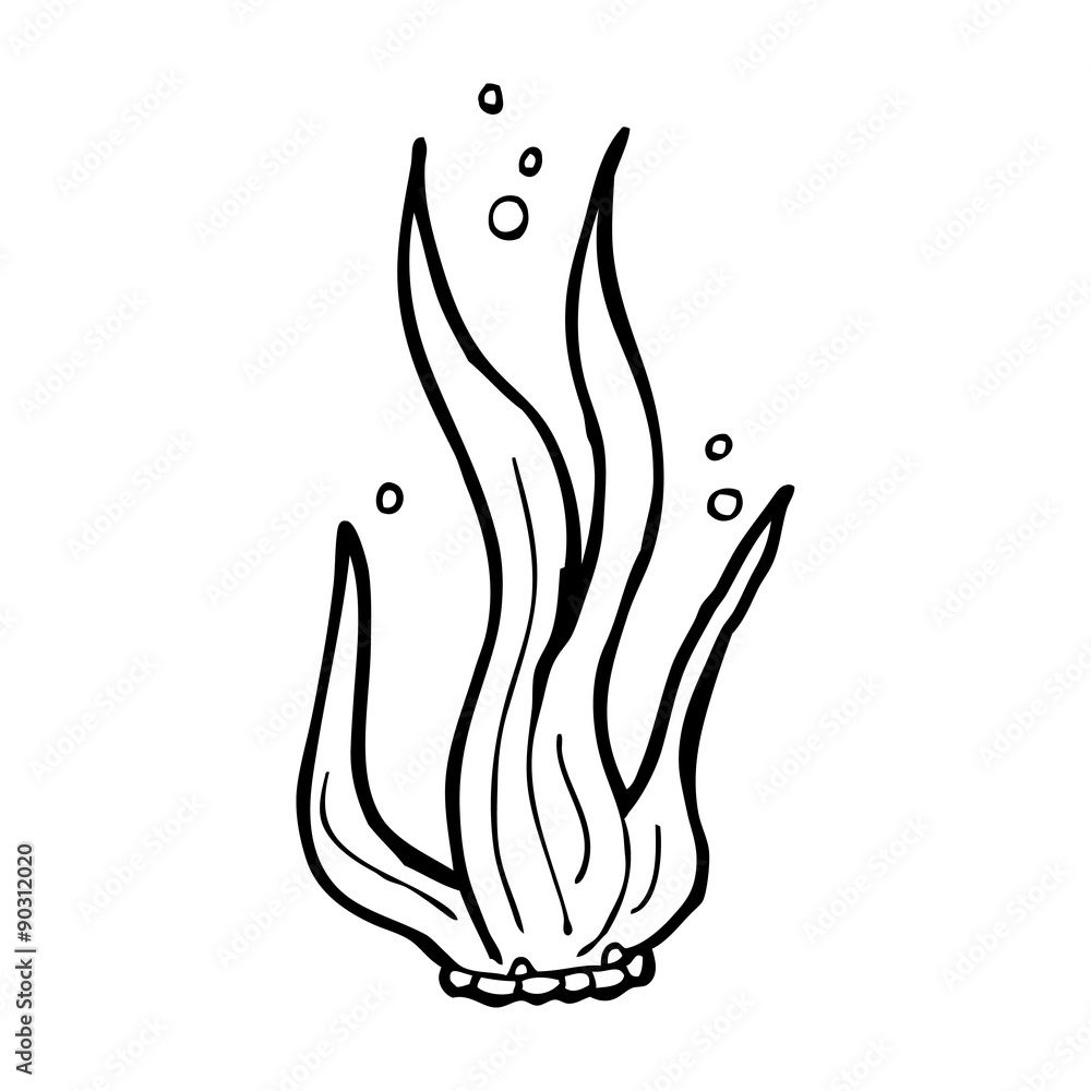 Obraz premium cartoon seaweed