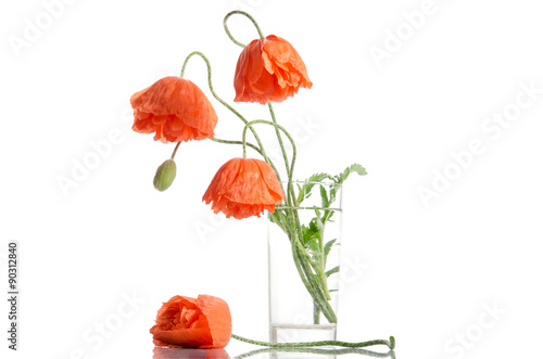 Fototapeta Naklejka Na Ścianę i Meble -  Bouquet of poppies in glass vase isolated on white background
