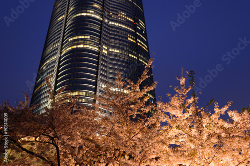 Cherry blossoms at Roppongi hills Mouri garden in Tokyo photo