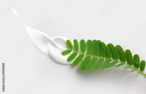 Leaf with cream texture