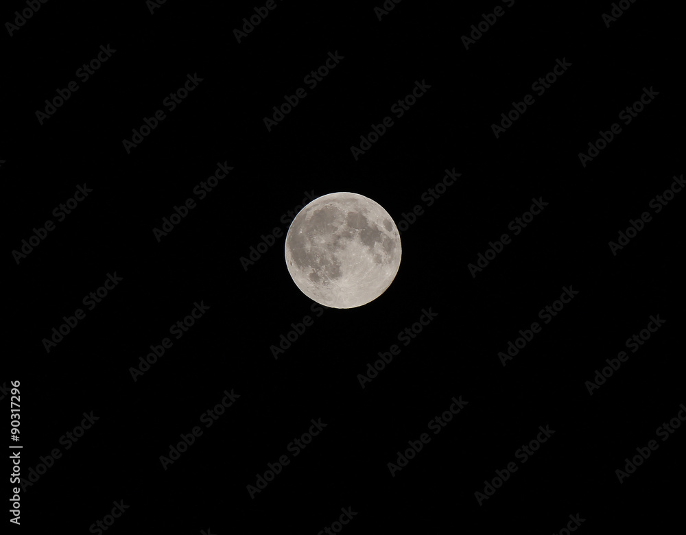 moon moon